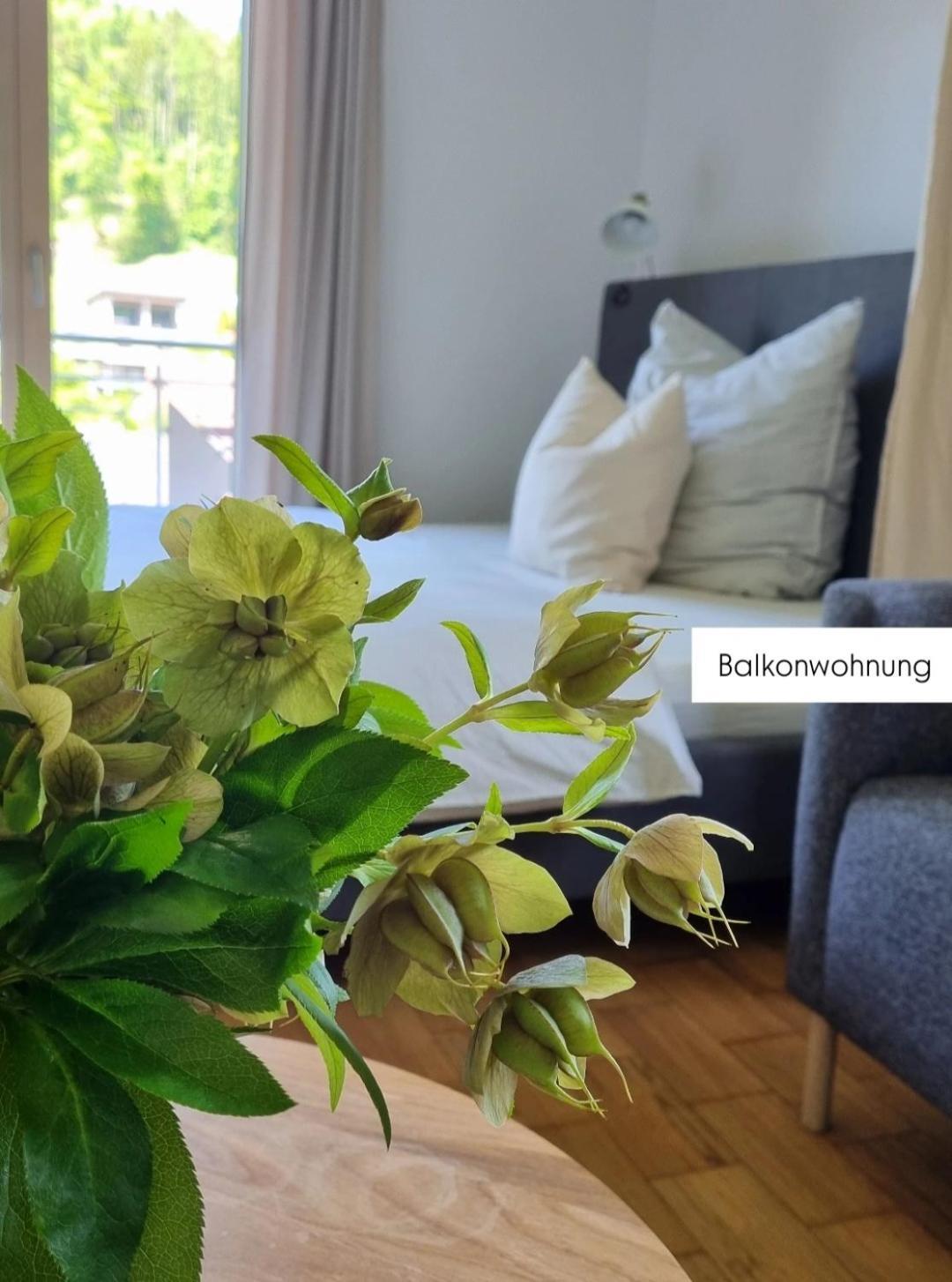 Ferienwohnung Tostner Burgblick Feldkirch Luaran gambar
